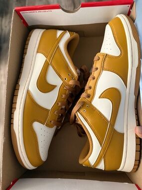 Men’s dunk low